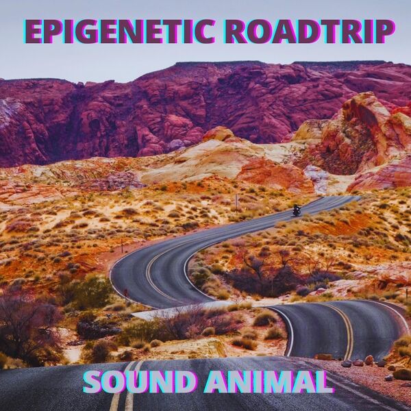 Cover art for Epigenetic Roadtrip